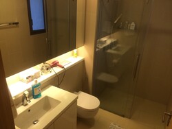 The Viridian (D12), Apartment #317339711